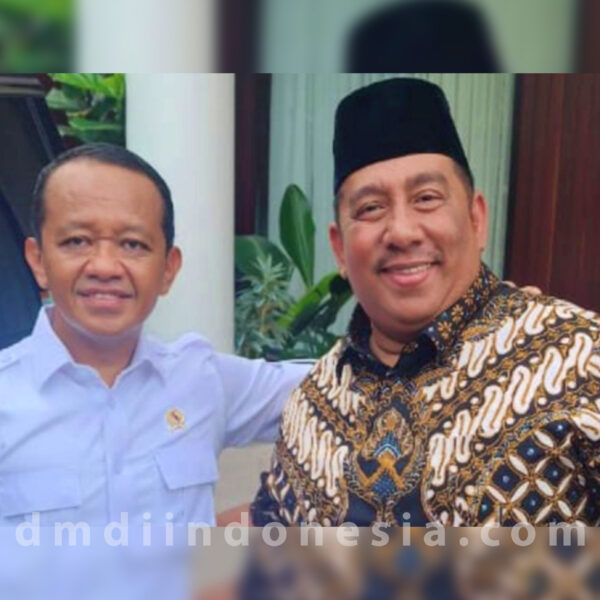 dmdi indonesia