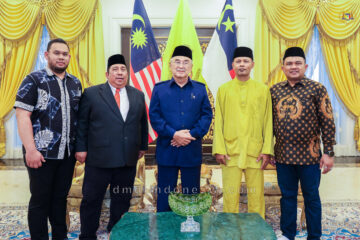 dmdi indonesia